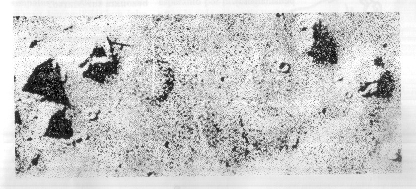 Marso - foto de Viking